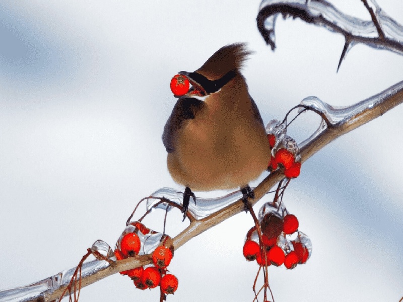 宫内感染能做试管,想做试管怎么选