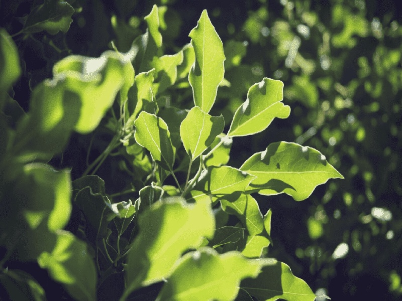 深圳试管骗局套路,太原试管的费用