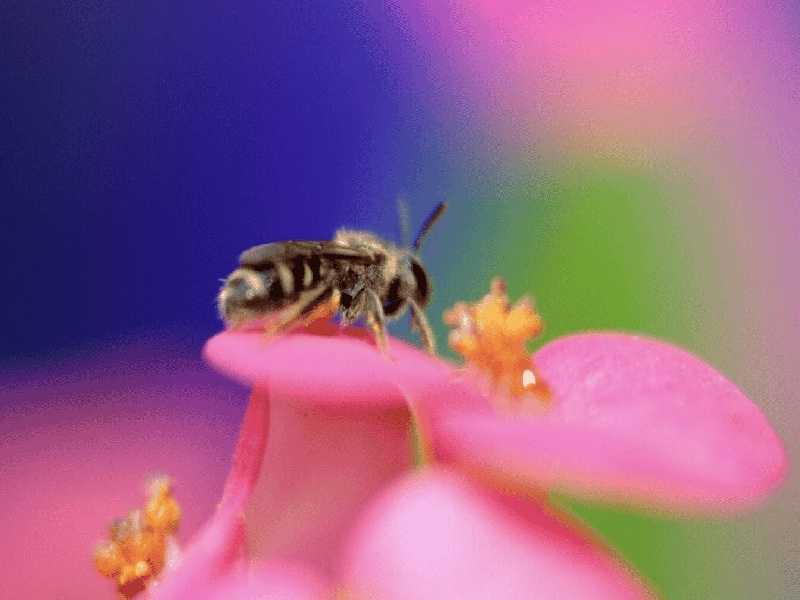 试管自动扫描,人工受孕二代费用